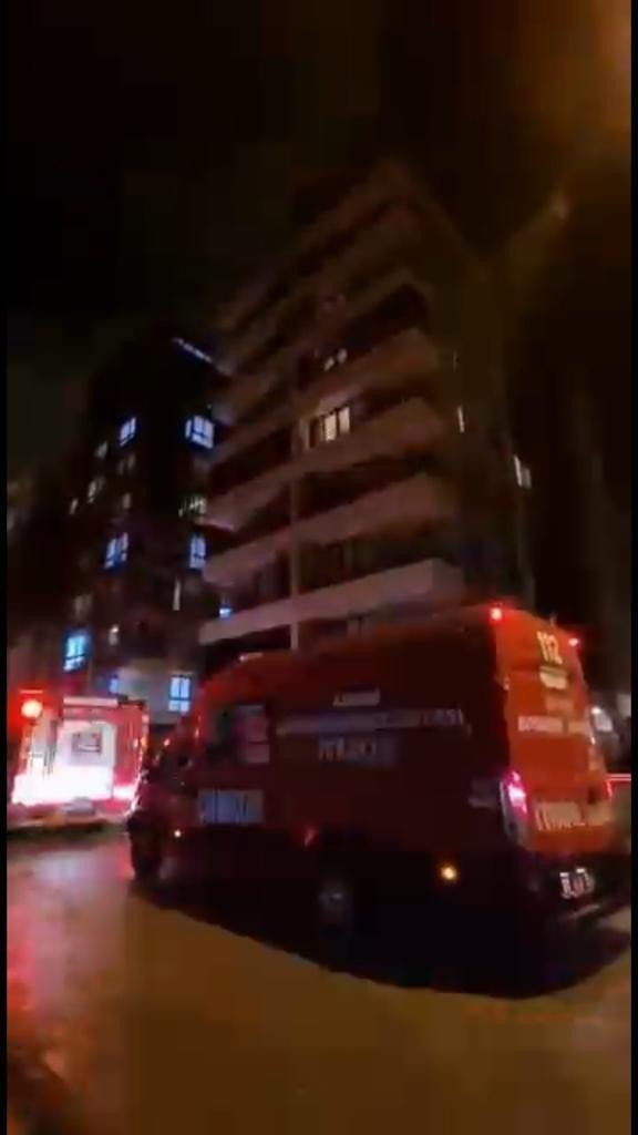 Kediyi hayatta tutma mücadelesi