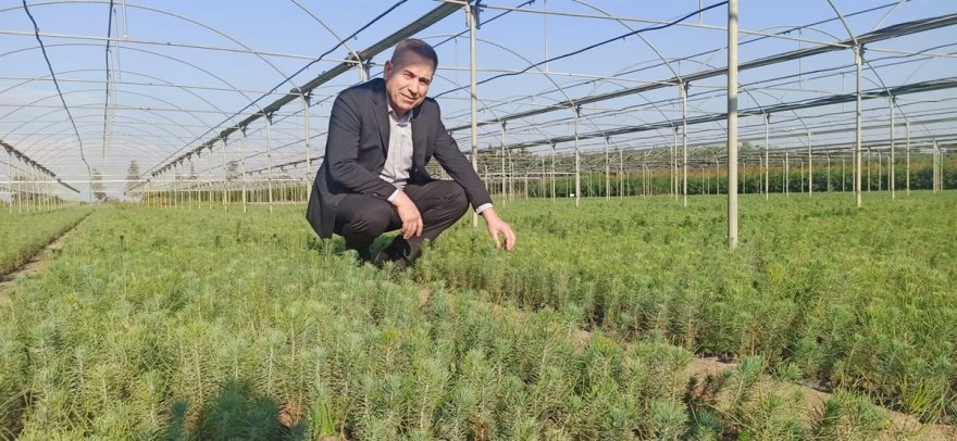 Adana’nın fidanları Ceyhan’da yetiştiriliyor