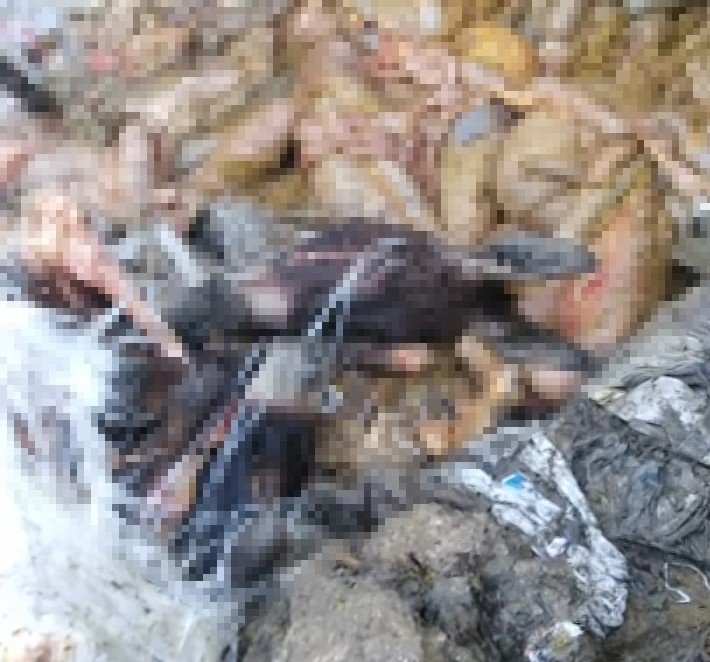 Sulama kanalında eşek kafası ve sakatatları çıktı