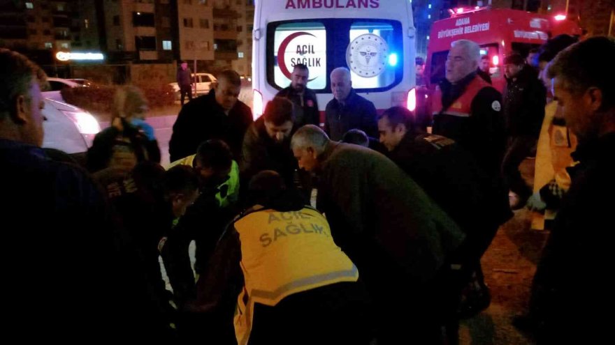 Tilki kazaya neden oldu: 4 yaralı