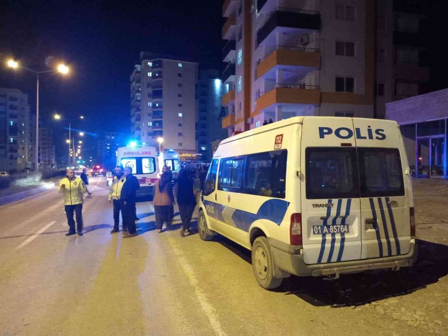 Tilki kazaya neden oldu: 4 yaralı