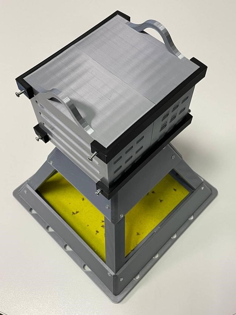 Akdeniz Meyve Sineği ile