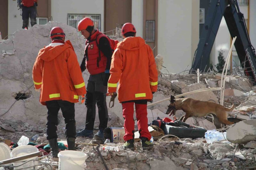 Adana’da arama-kurtarma köpekleri çalışmalara katkı sağlıyor