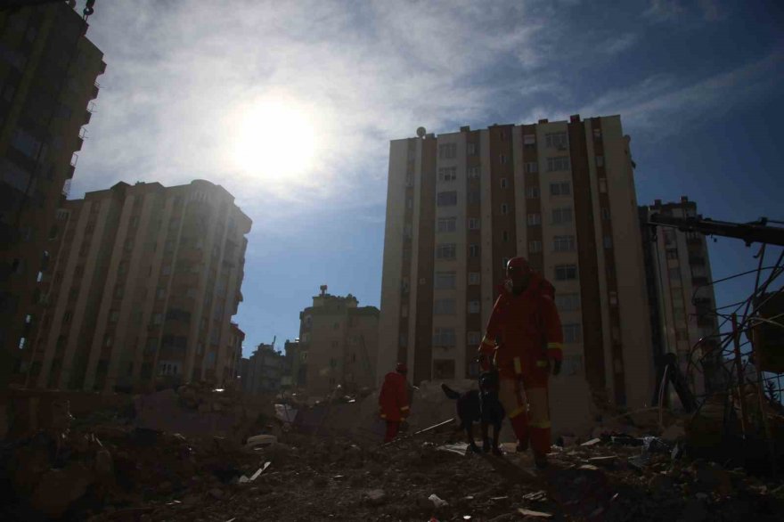 Adana’da arama-kurtarma köpekleri çalışmalara katkı sağlıyor