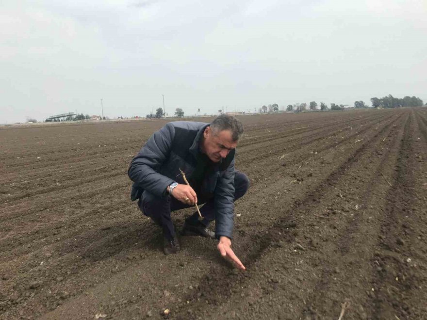 Depremzede çiftçiler üretmeye devam ediyor