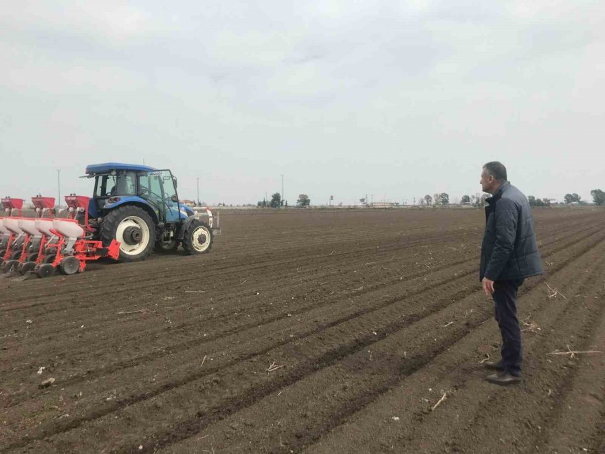 Depremzede çiftçiler üretmeye devam ediyor