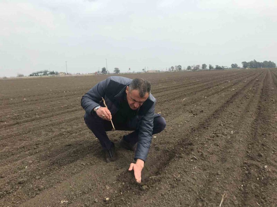 Depremzede çiftçiler üretmeye devam ediyor