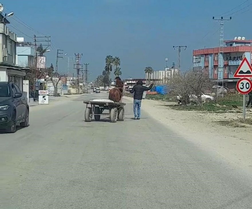 Polis, ata işkence eden gence at arabasındaki un çuvalından ulaştı