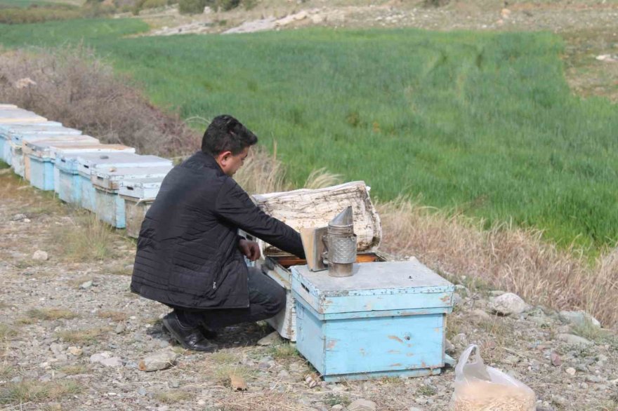 Adana’da kuraklık arıyı da vurdu