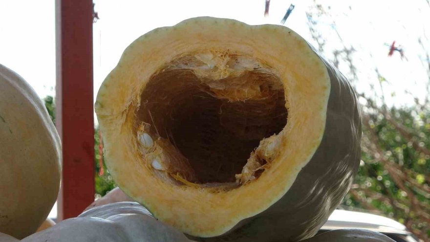 Ramazan’ın gözde tatlısının yapıldığı bal kabağına talep arttı