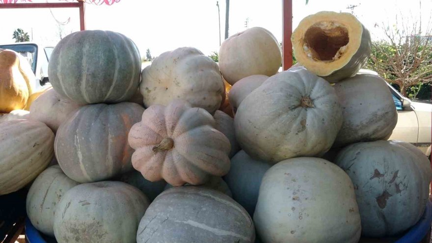 Ramazan’ın gözde tatlısının yapıldığı bal kabağına talep arttı