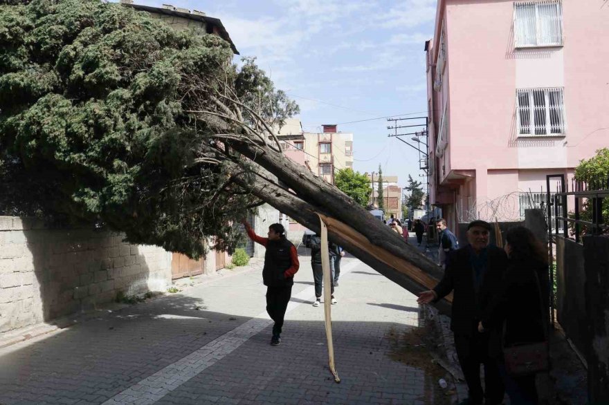 Adana’da fırtına çatıları uçurdu, ağaçları devirdi, elektrik tellerini kopardı