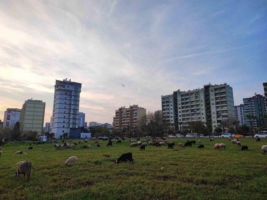 Köy ve kent iç içe geçti