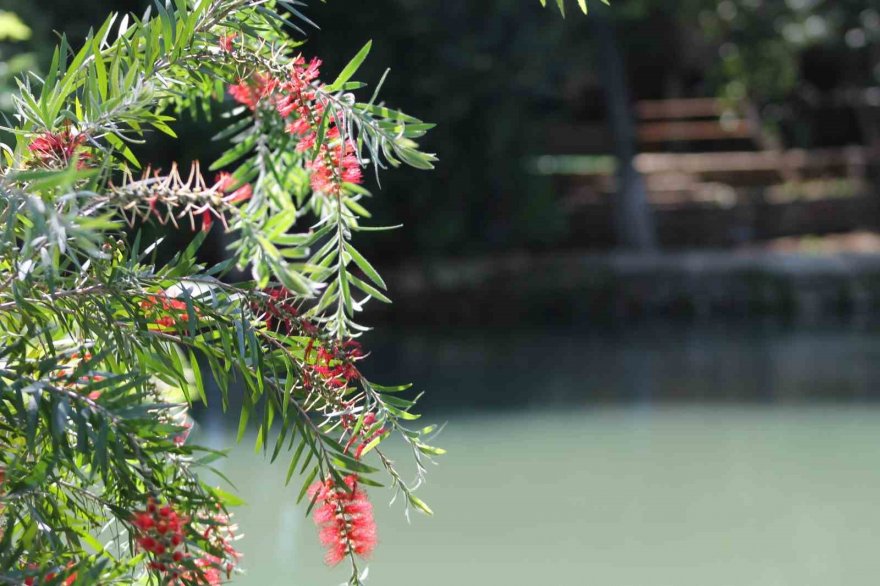 Adana, bayram tatilinde doğa tutkunlarının akınına uğradı