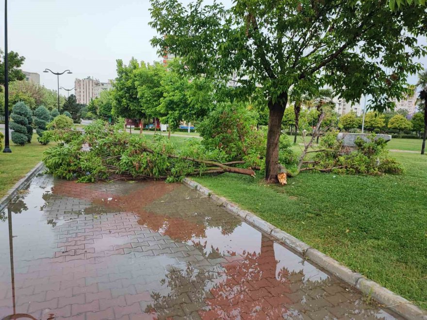 Adana sağanak yağmurla güne erken başladı