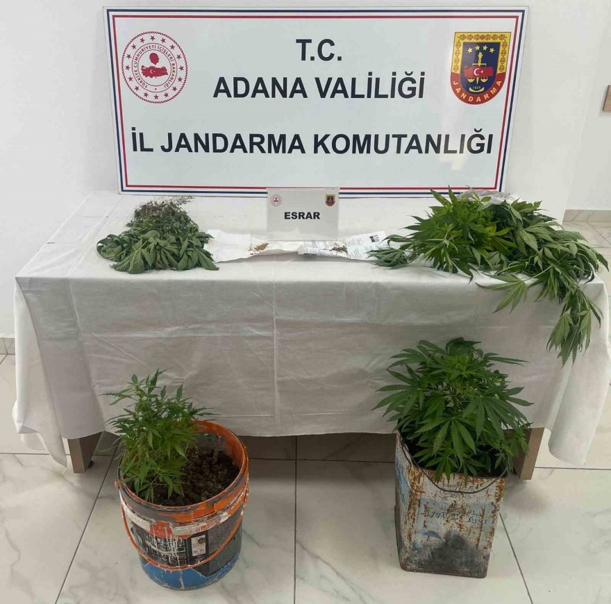 Adana'da uyuşturucu operasyonu: 7 şüpheli yakalandı