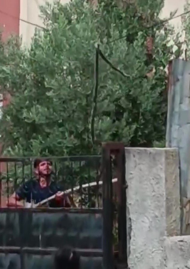 Havalar ısındı, Adana’da yılanlar evlere girer oldu