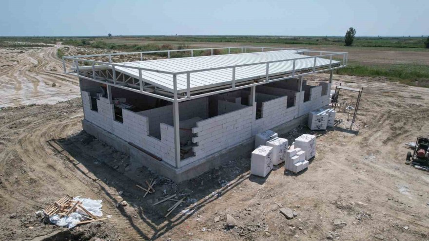 Tarla balıkçılığı ekonomiye 450 milyon dolar katkı sağlayacak