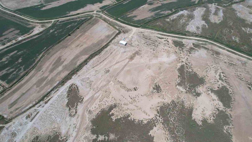 Tarla balıkçılığı ekonomiye 450 milyon dolar katkı sağlayacak