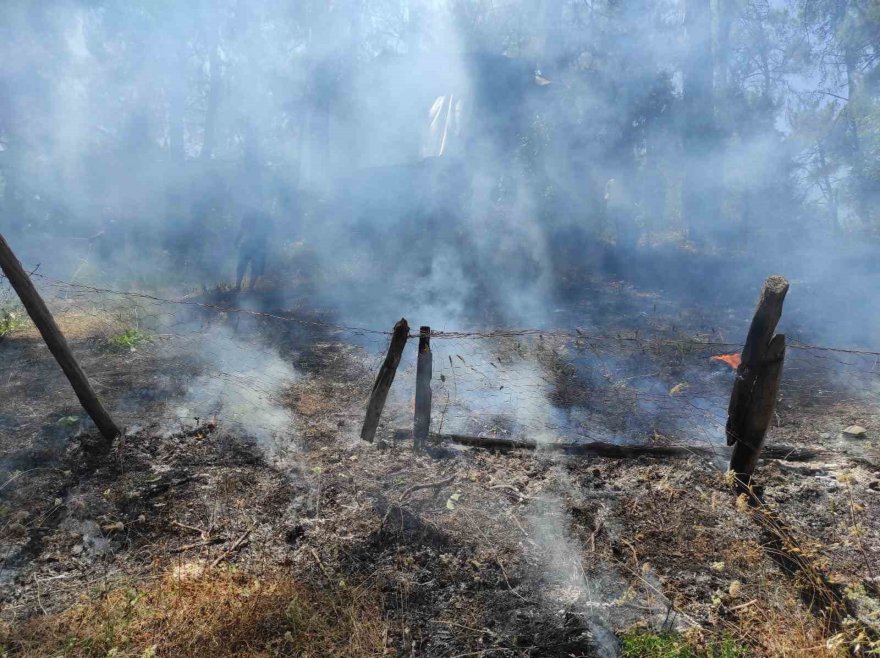 Adana Kozan’da orman yangını, ekipler kontrol altına aldı