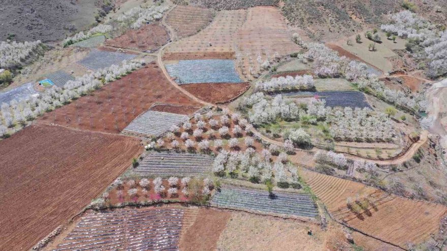 Adana Büyükşehir’den üreticiye destek