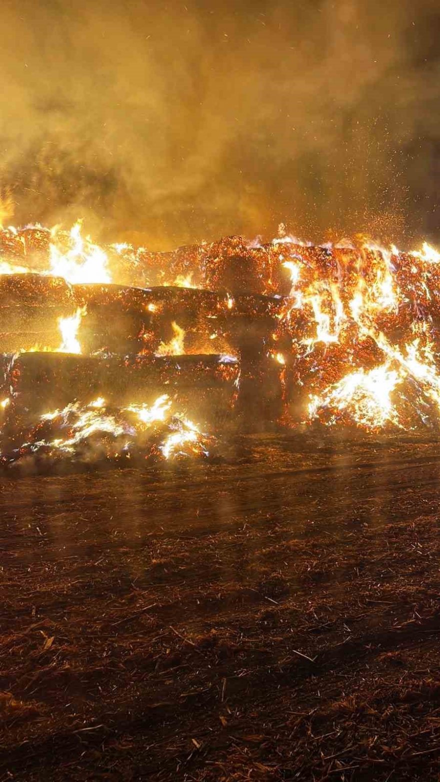 Balya yangını mısır tarlası sahiplerini korkuttu