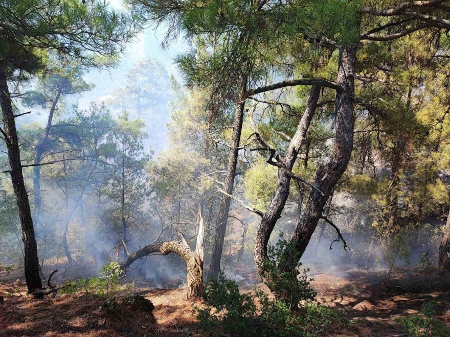 Feke’deki orman yangını kontrol altına alındı