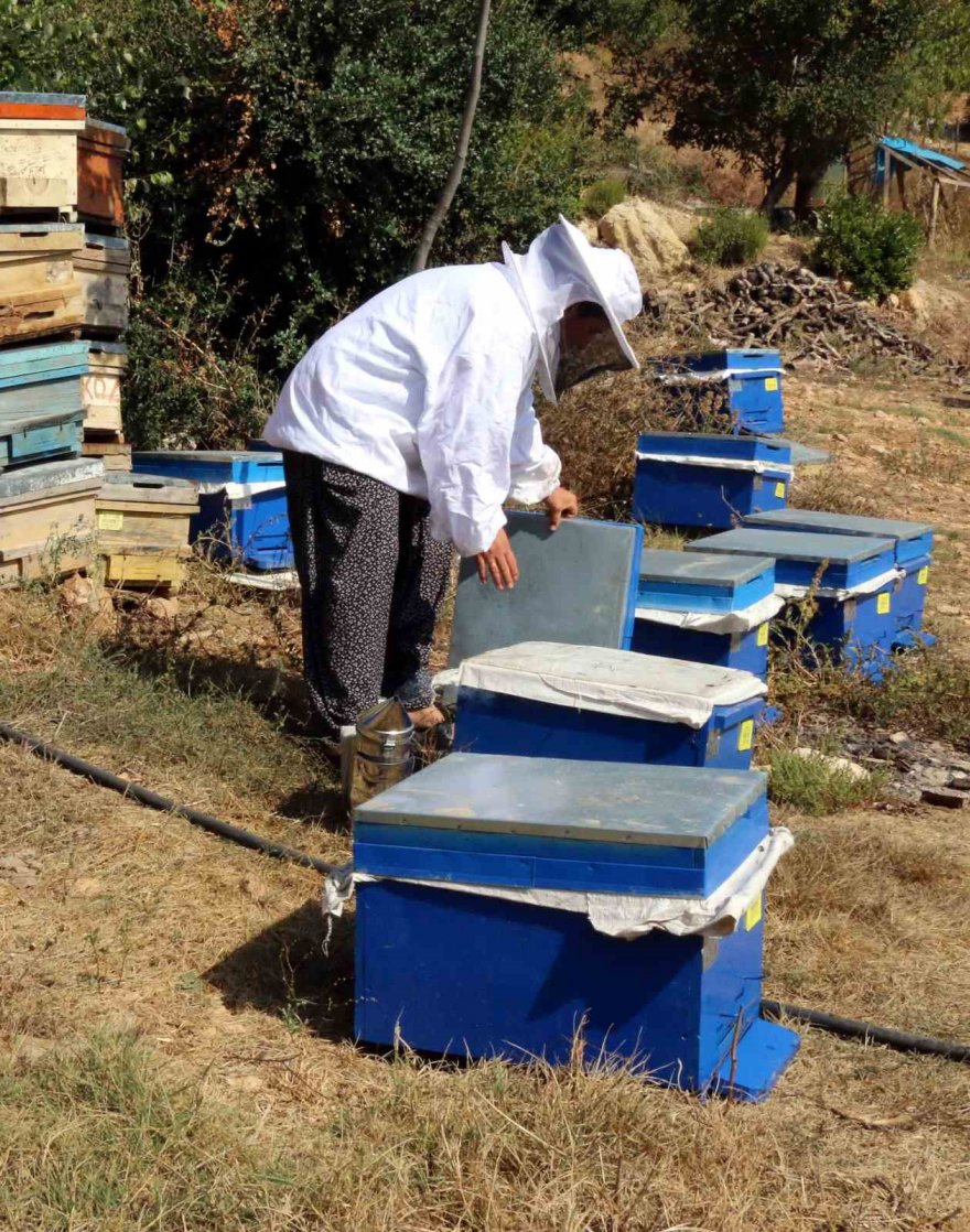 Kadın girişimci devletten önce eğitim, sonra da kredi alarak arıcılığa başladı