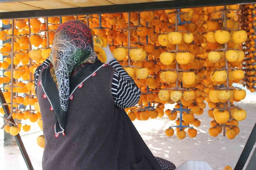 Hurma kurutma işi mahalleyi fabrikaya çevirdi