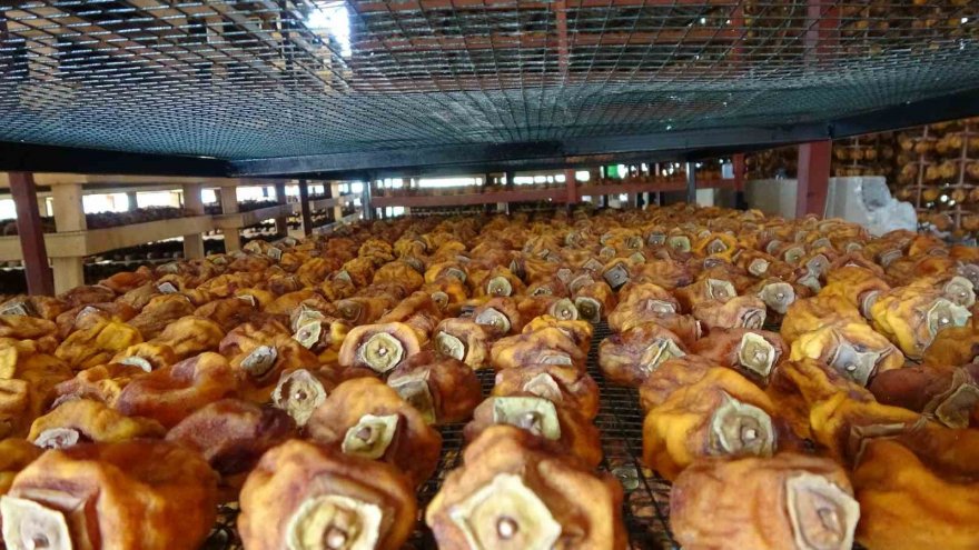 Hurma kurutma işi mahalleyi fabrikaya çevirdi