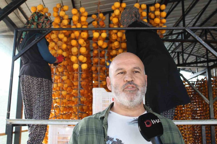 Hurma kurutma işi mahalleyi fabrikaya çevirdi