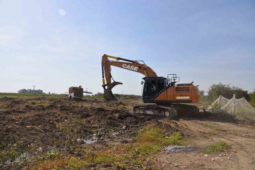 Limon dalında kaldı, üretici limonata çözümü bekliyor