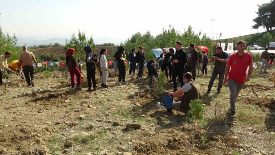 Adana’da 2023 yılı içinde 95 bin 800 fidanın toprakla buluşması hedefleniyor