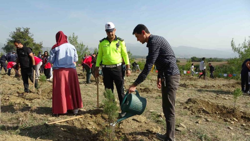 Adana’da 2023 yılı içinde 95 bin 800 fidanın toprakla buluşması hedefleniyor