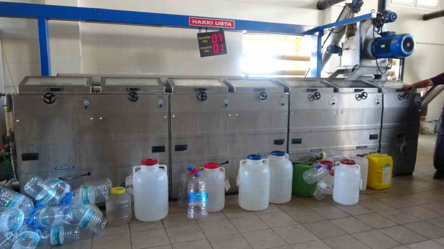 Zeytini kuraklık vurdu