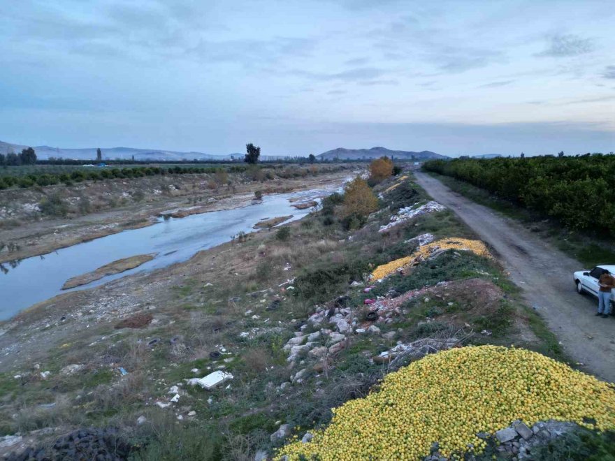 Adana'da tonlarca limon dere yatağına döküldü
