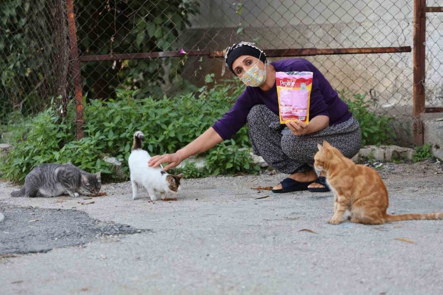 Kanser hastası kadın hayata hayvanlarla tutunuyor