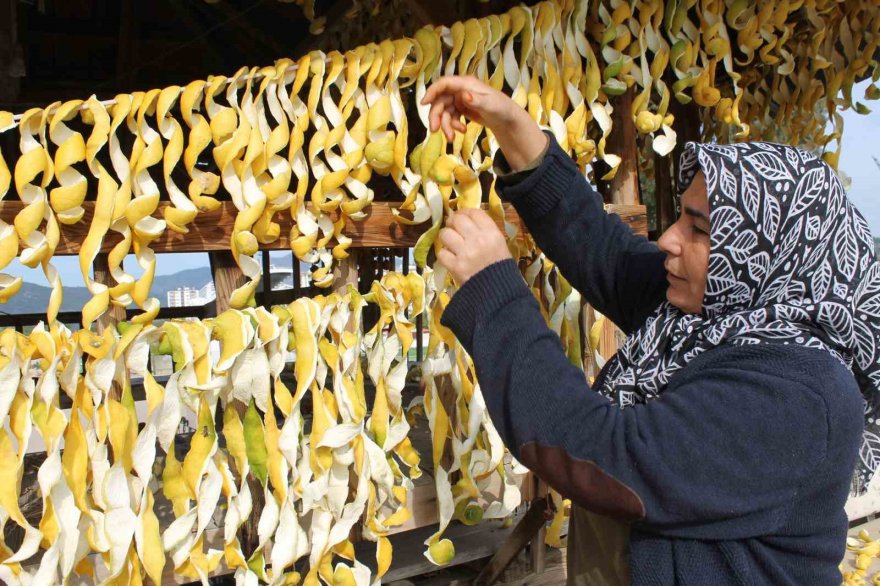 Dalından kilosu 30 kuruş, kabuğu 17 lira