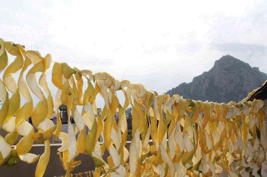 Dalından kilosu 30 kuruş, kabuğu 17 lira