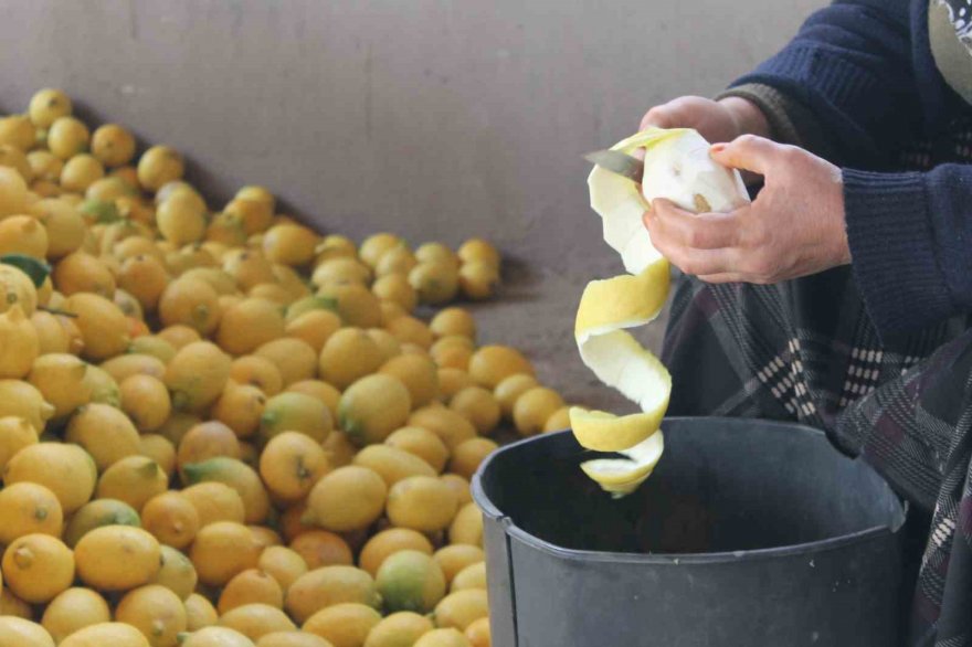 Dalından kilosu 30 kuruş, kabuğu 17 lira