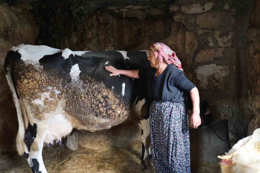 Kız kardeşler teknolojiye ve milyonlara inat üretiyor