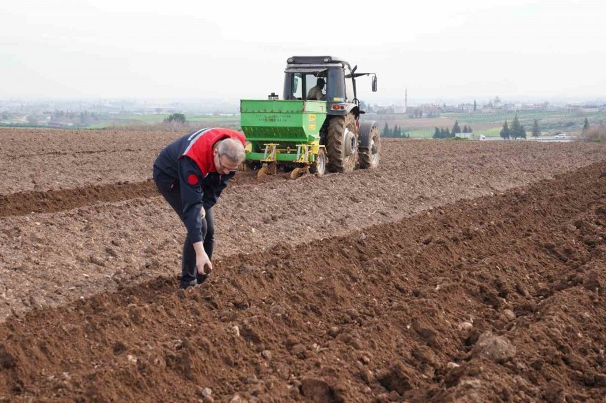 Adana’da turfanda patates toprakla buluştu