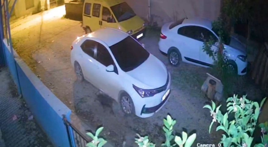 Domuz yavrusu evin güvenlik kamerasına yansıdı