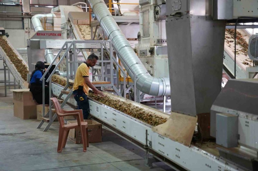 14 milyon liralık yüzde 50 hibe verilecek