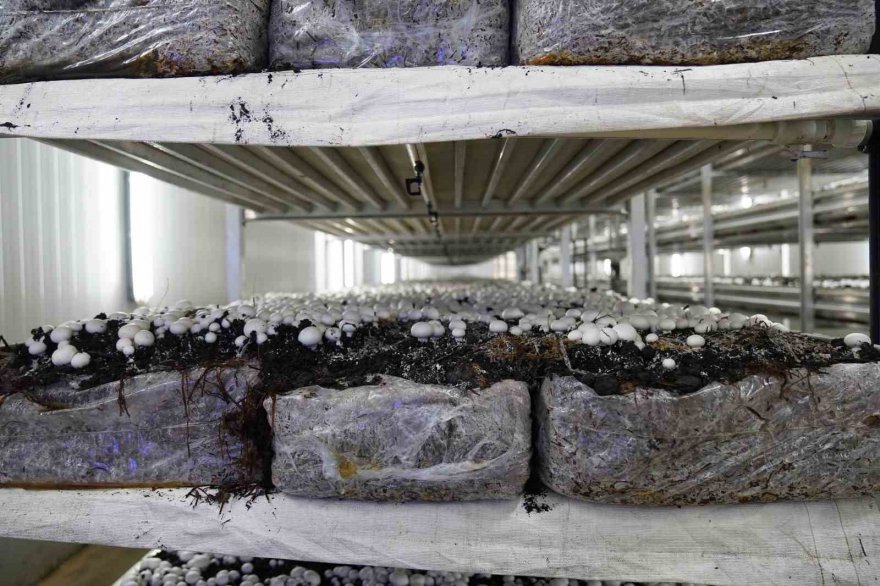 14 milyon liralık yüzde 50 hibe verilecek