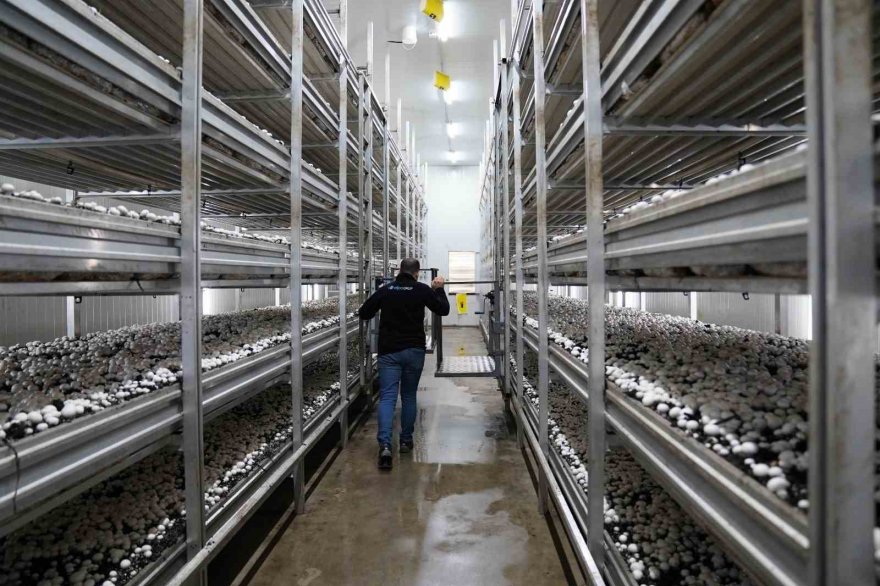 14 milyon liralık yüzde 50 hibe verilecek