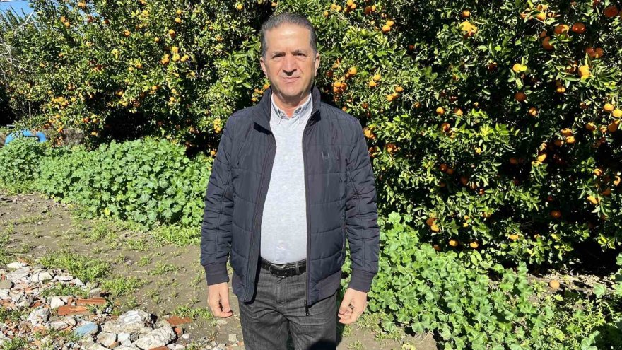 Adana mandalinası dünya mutfağını süslüyor