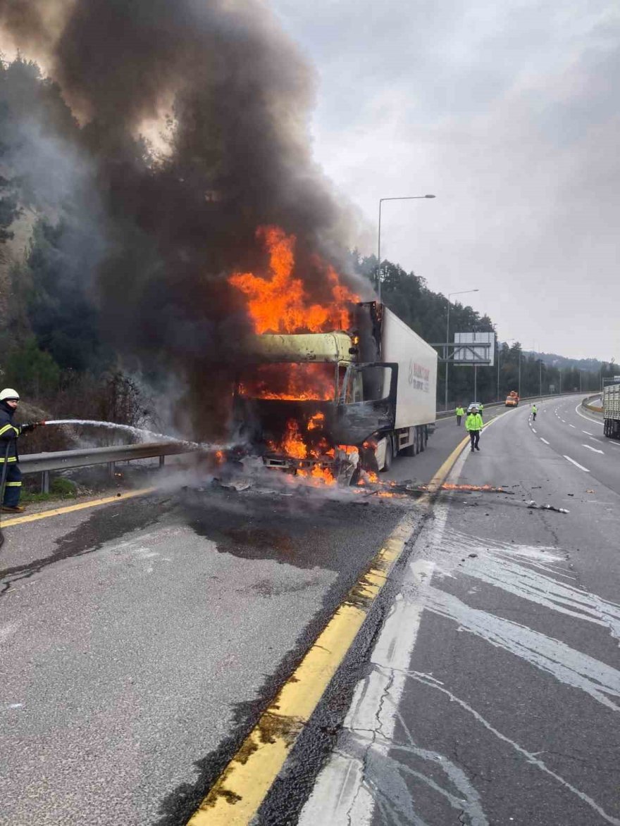 Adana’da otoyolunda mandalina yüklü tırda yangın