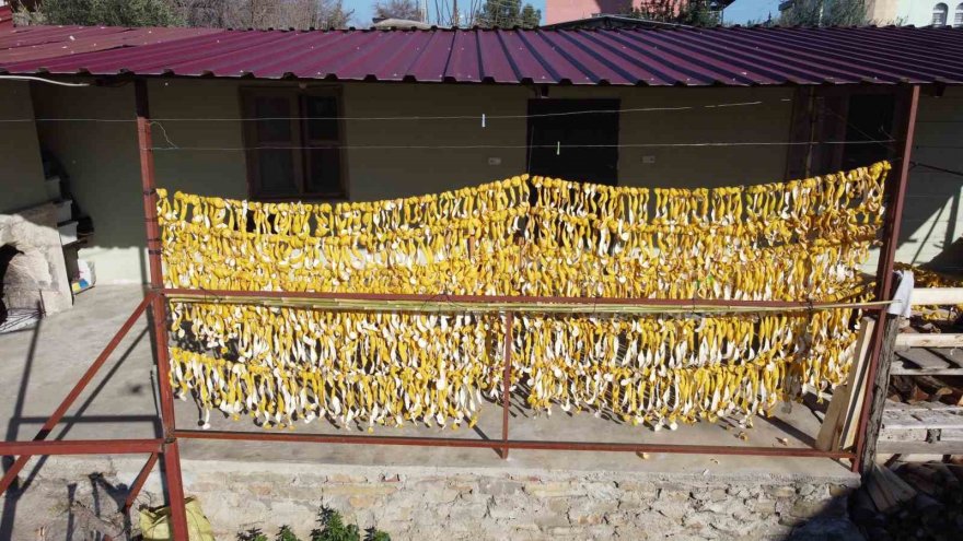 Meyvesi yüz güldürmedi kabuğu altın oldu