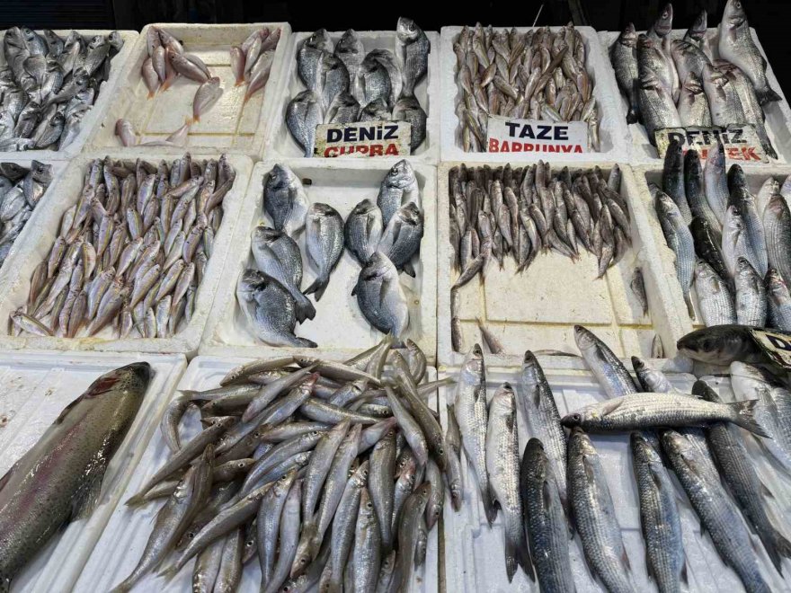 Balık sofraya ulaşıncaya kadar fiyatı yüzde 200 artıyor